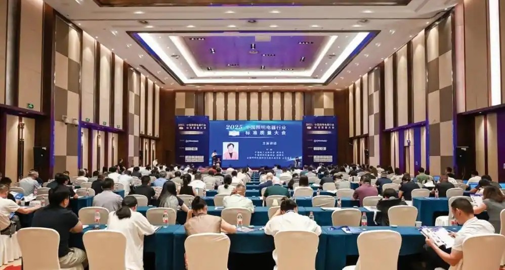 Standartinės kokybės apšvietimo pramonės lyderis